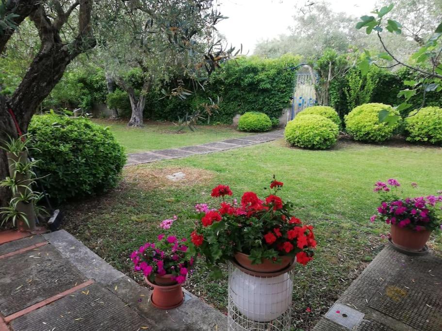 Villa Brezza Capaccio Eksteriør billede